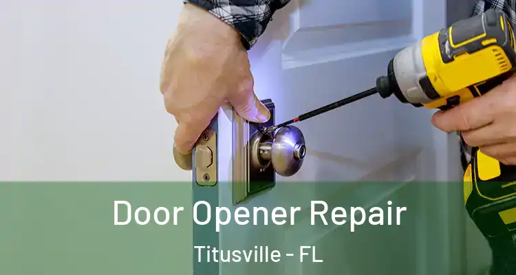  Door Opener Repair Titusville - FL