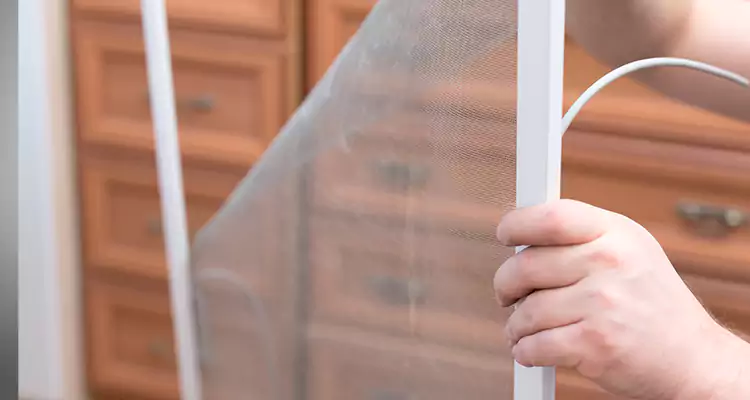 Privacy Mesh Screen Door Installation in Titusville, FL